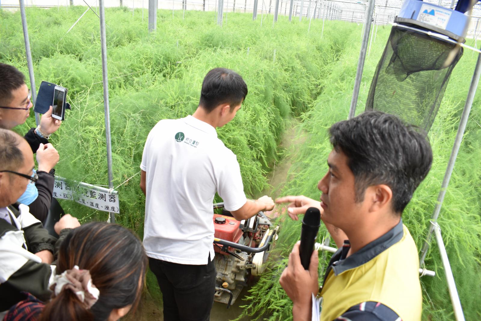 自走式碎枝機進行老化母莖就地碎化示範