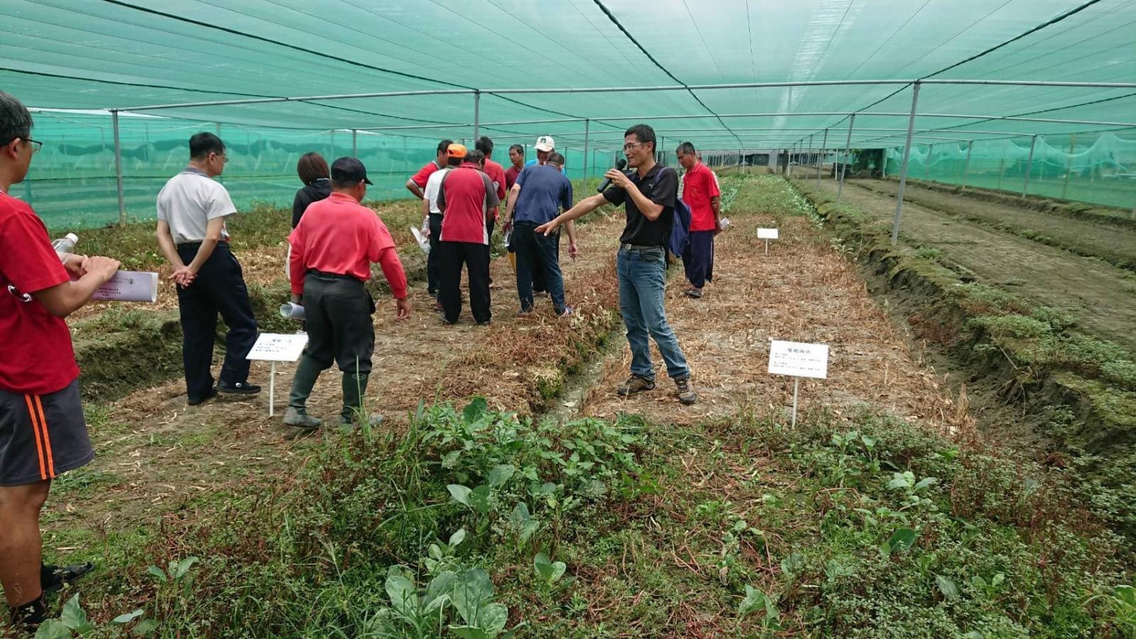張錦興分場長進行田間導覽解說