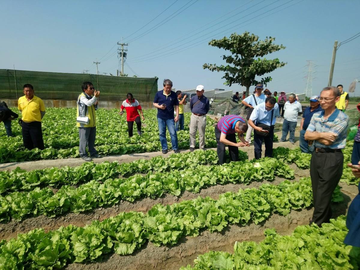 農友參與田間實地觀摩合理化施肥運用成效