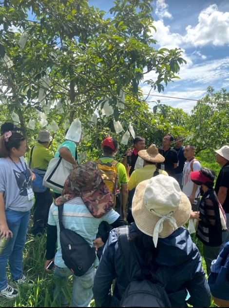 沈世政班長講授酪梨特性