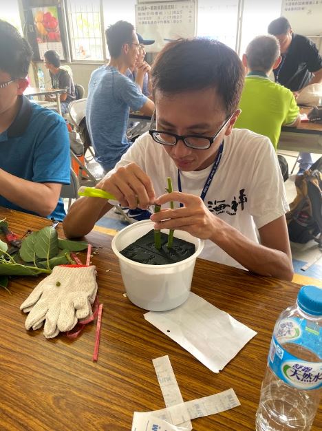 學員親手操作酪梨嫁接