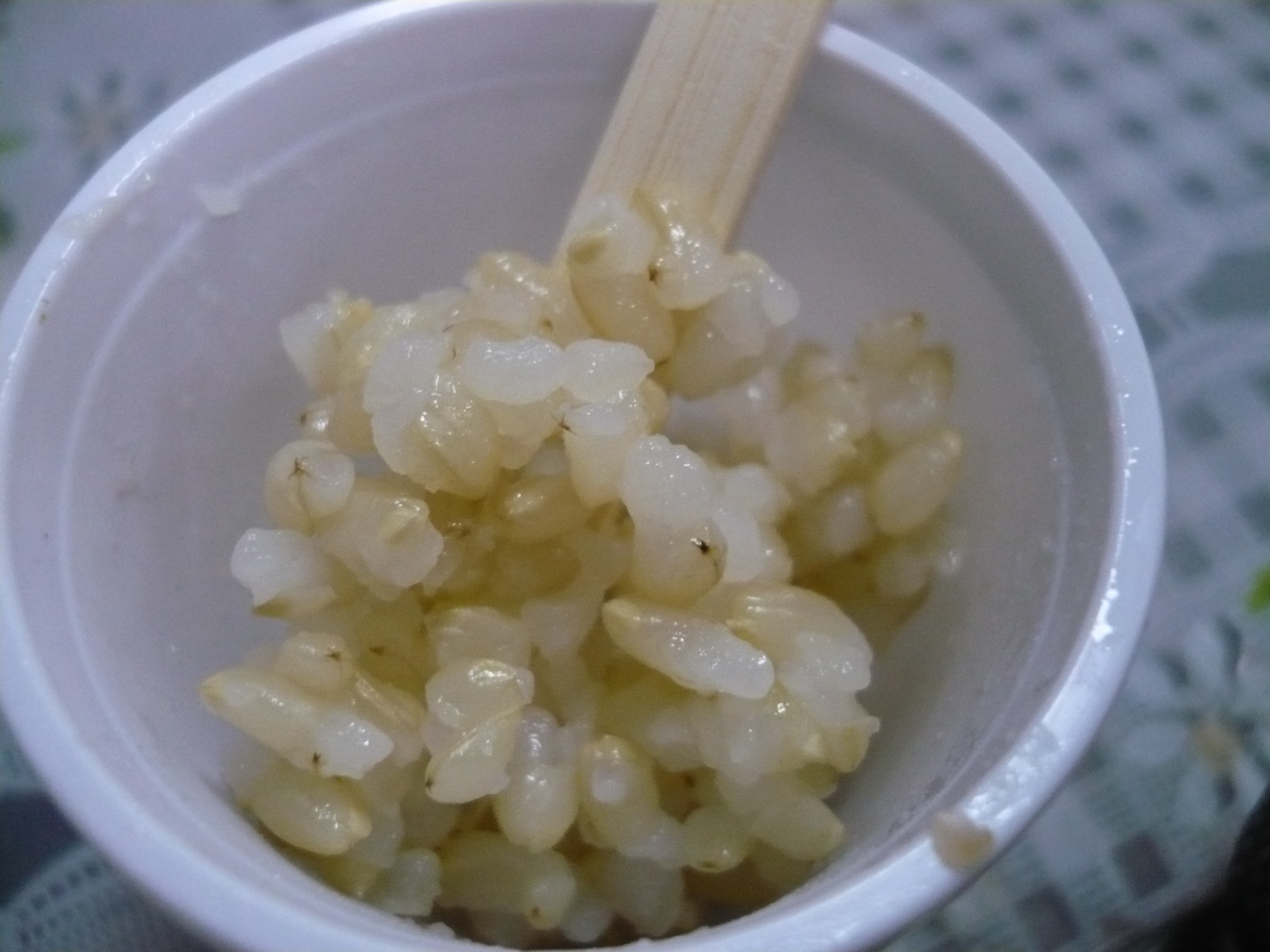 糙米飯專用品種「台南14號」