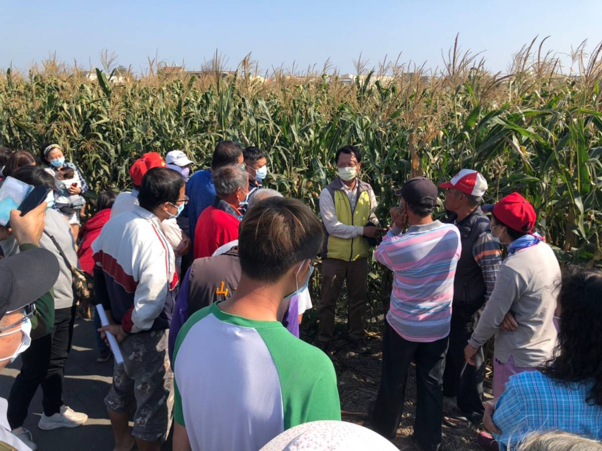 游添榮分場長回覆農民有關硬質玉米栽培及品種特性相關問題