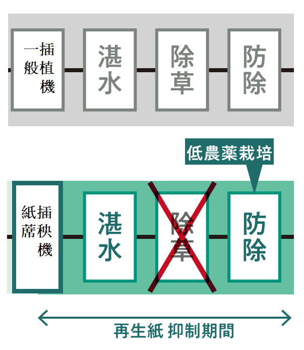 紙蓆插秧機之省工 (日本SASAKI農機 DM) 紙蓆插秧機之省工 (日本SASAKI農機 DM)
