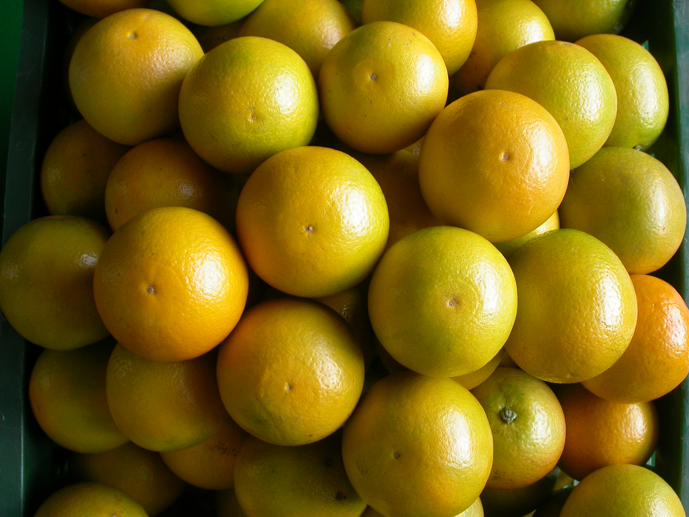 柳橙果頂有明顯圓形印痕