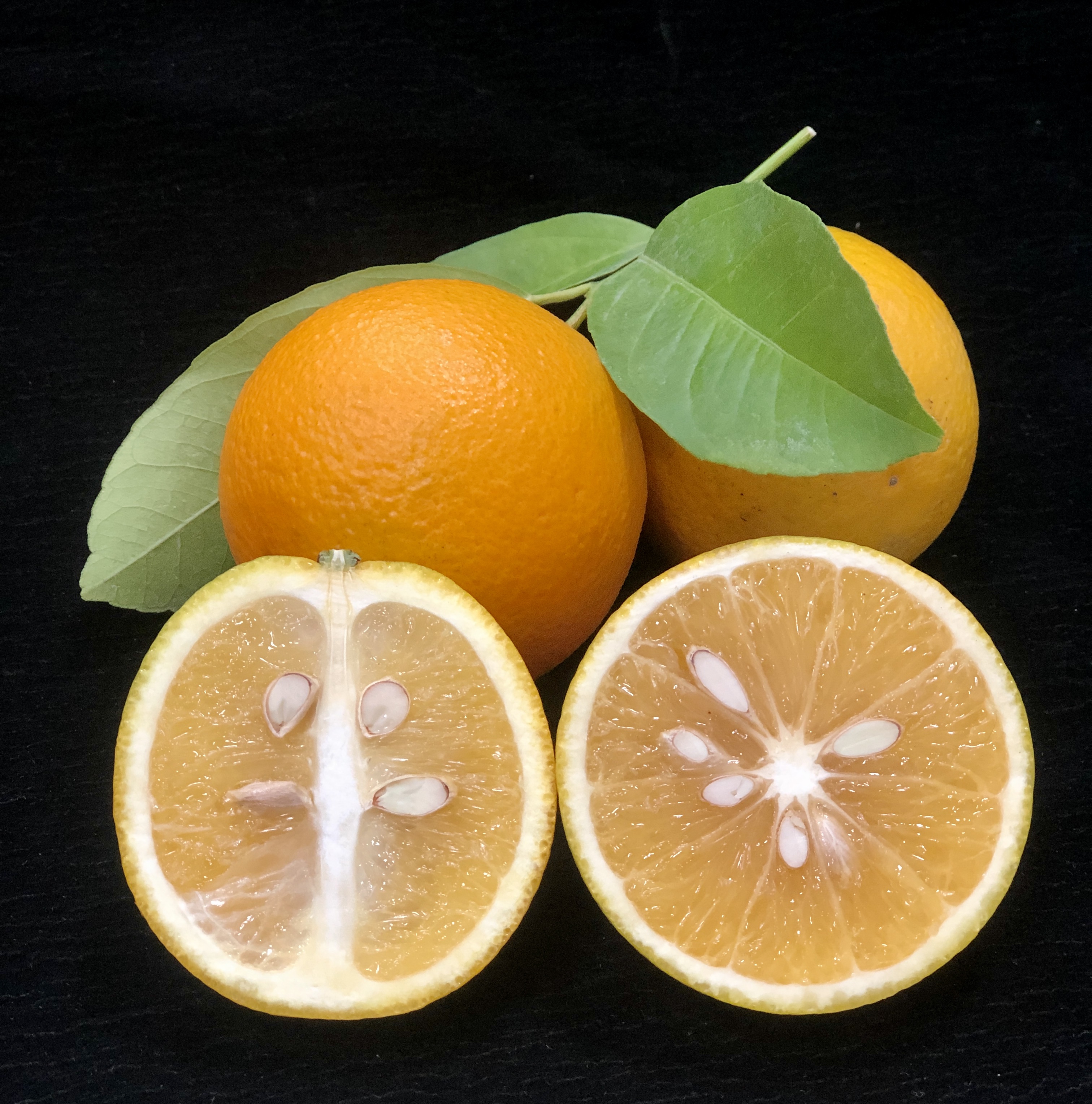 選購柳橙以果皮轉黃或橙黃色，果實飽滿、富彈性為佳