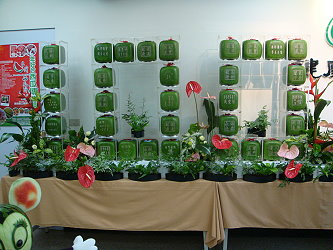 現場以方型西瓜排列成100，象徵建國百年