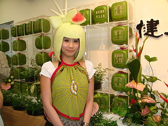 在記者會上出現的西瓜美女，頓時成為吸睛焦點