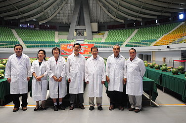 高品質西瓜評審團