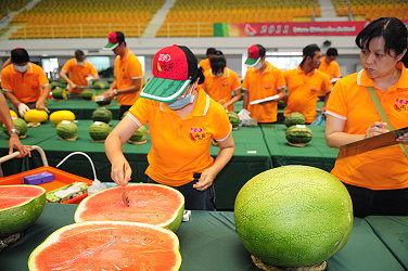 高品質西瓜競賽－測糖度