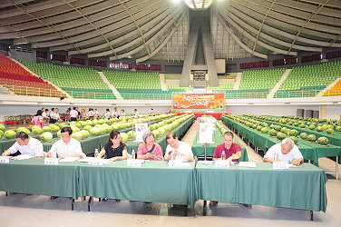 高品質西瓜競賽評分結果統計