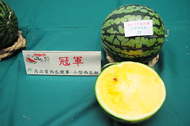 小型西瓜組冠軍