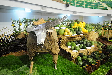 現場西瓜景觀佈置