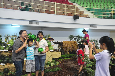 西瓜景觀佈置區民眾照相留念