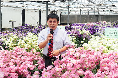 王仕賢場長介紹本場洋桔梗雜交育種成果