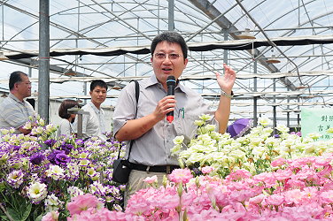 王裕權站長介紹本場洋桔梗雜交育種成果