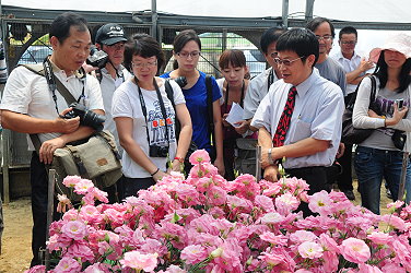 王場長向媒體記者展示新品種