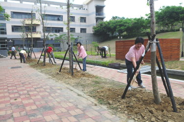 主管們一起種樹