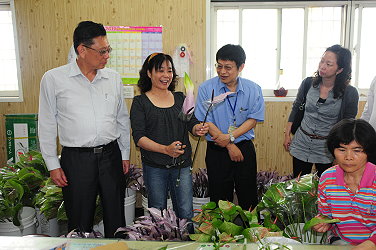 張林芳珠農友向黃副主委介紹火鶴花分級包裝