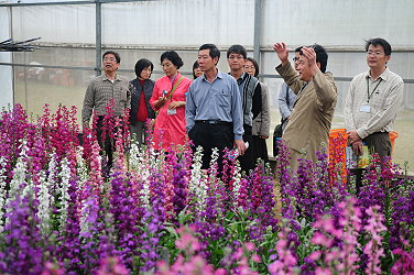 陳耀煌副研究員引導參觀本場紫羅蘭新品種溫室