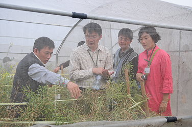 謝明憲副研究員解說十字花科蔬菜採種試驗