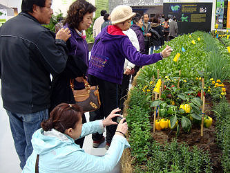 參訪作物健康管理區遊客拍照留念