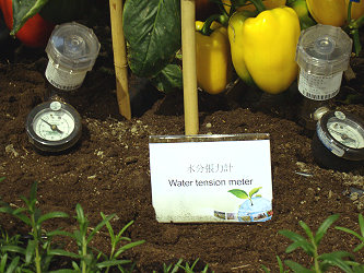 土壤水分張力計監測作物水分狀況