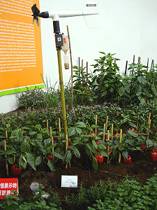 透過小型氣象站瞭解微氣候變化