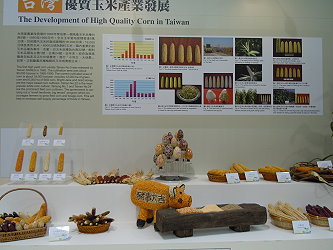 玉米展區