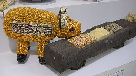 「豬事大吉」由朴子分場詹碧連及佘嘉斐小姐設計，兩人耗時10天製作，全豬以玉米粒黏製而成，相當精巧討喜，已成為玉米展區的拍照重點，不要錯過喔！