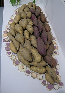 「就是愛台灣」由多個品種甘藷組合而成，象徵台灣芋仔蕃薯大熔爐，應齊心合力共創下個百年歷史。