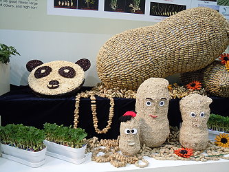 以花生果莢及種仁拼貼黏製而成的巨型花生、貓熊及花生娃娃，非常“卡哇伊”！