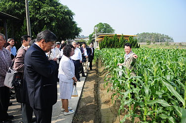 日本代表團赴田間參觀
