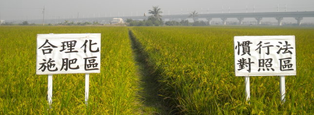 水稻合理化施肥觀摩會現場