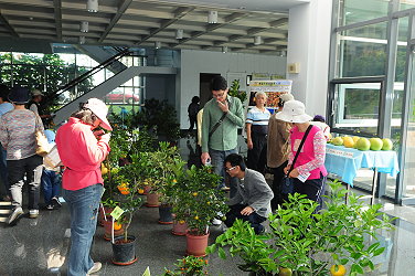 奇花異果展場吸引民眾駐足觀賞研究