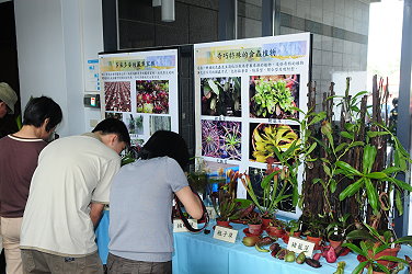 奇花異果展場以海報配合實物展出