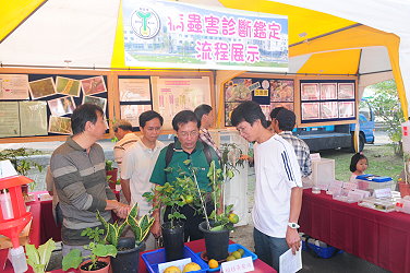 病蟲害診斷鑑定流程展示介紹服務程序