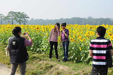 花海景觀區各種花朵綻放，美不勝收