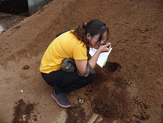 熟悉的莊稼味道