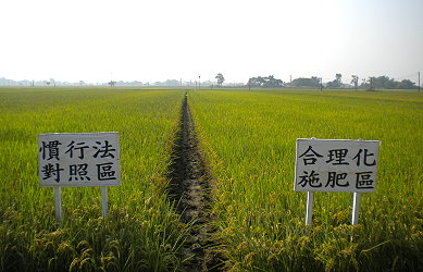 合理化施肥區與慣行法對照區之比較