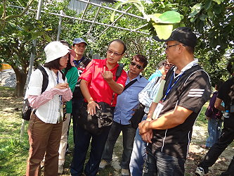 張副研究員汶肇於果園現場解說