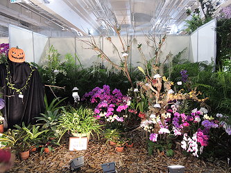 高雅脫俗的蘭花，結合陰森的萬聖節氣氛，顛覆傳統蘭花意象