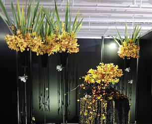 蘭花美學充分融入生活中，給予視覺、感官的新體驗