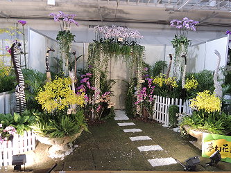 蘭花美學充分融入生活中，給予視覺、感官的新體驗