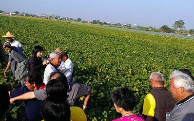 示範田農民王德寬班長也分享其栽培管理的心得