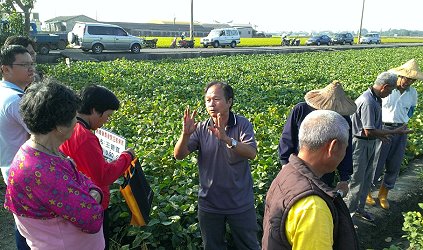 農民現場參觀示範田，並提出許多問題進行討論
