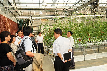 委員參觀本場設施番茄周年生產系統