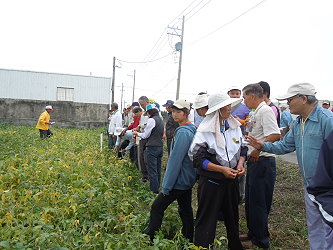 農民至示範田觀摩及討論 