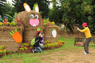 稻草與花卉創意佈置 