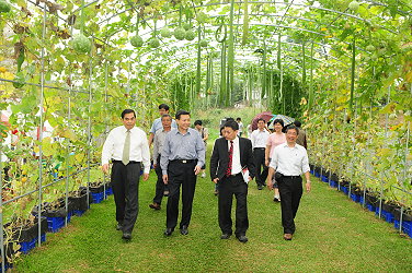 王場長向王政騰副主委介紹滴灌設施區 